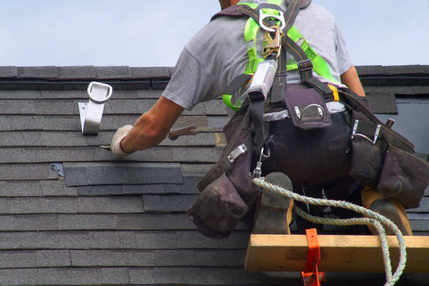 Roof Gutter Cleaning in Hanapepe, HI
