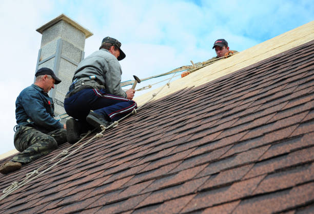 Best Roof Maintenance Services  in Hanapepe, HI